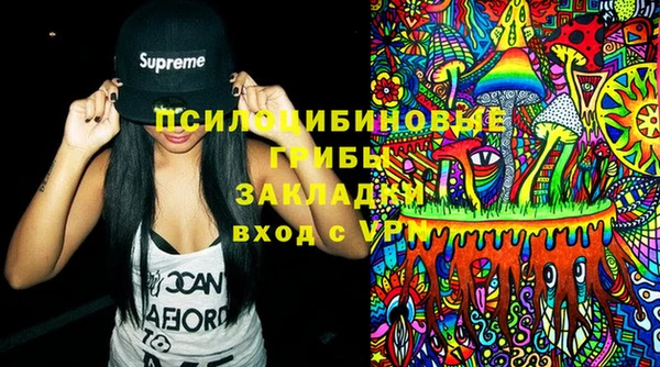 гидра Балахна