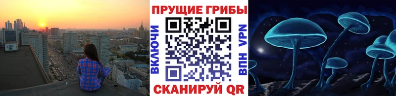 Псилоцибиновые грибы мухоморы  Рудня 